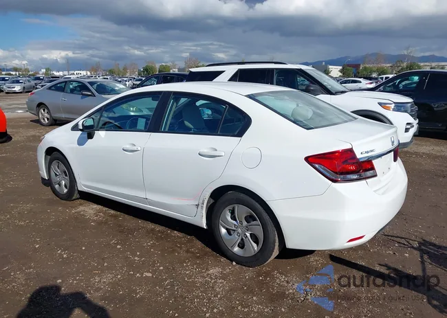 19XFB2F51EE266161: 44095286