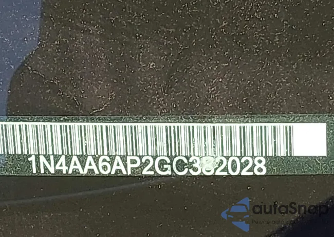 1N4AA6AP2GC382028: 44095337