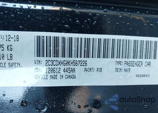 2C3CDXHG0KH567226: 44096583