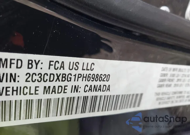 2C3CDXBG1PH698620: 44096152