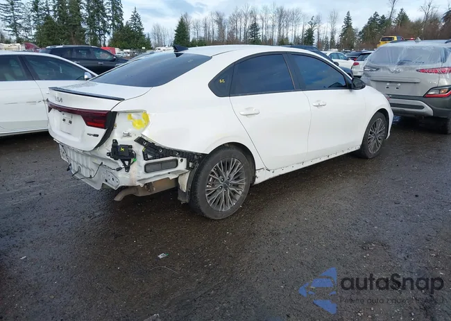 3KPF54AD4PE663948: 44096353