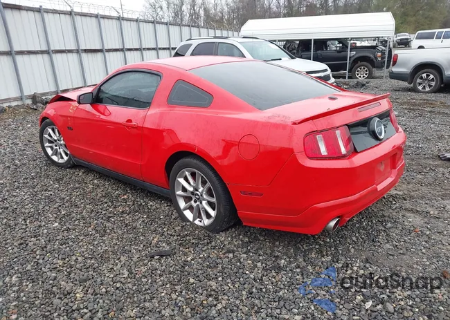 1ZVBP8CF2B5124454: 44098020