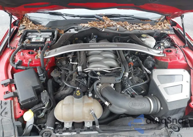 1FA6P8CF4K5124465: 44097404