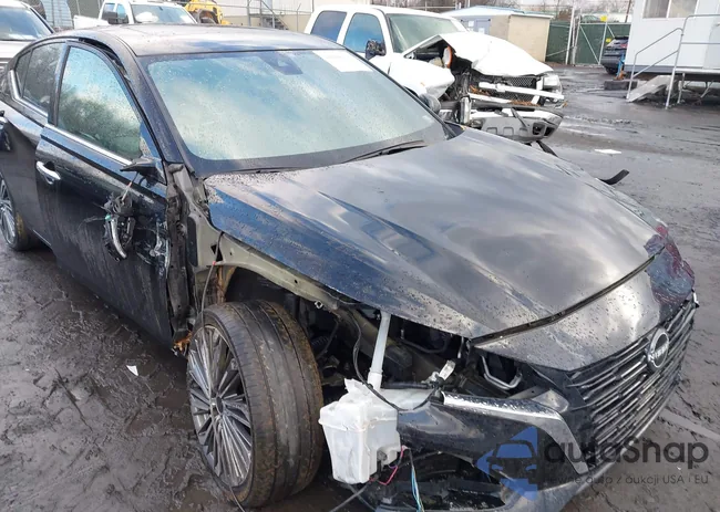 1N4BL4EW1PN363818: 44098207