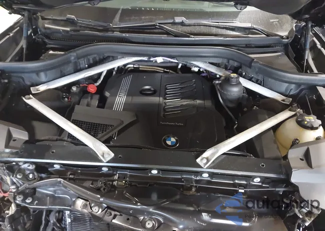 5UXCW2C01M9F19564: 44098344