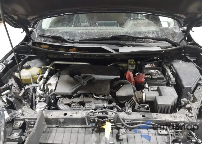 5N1AT3CB6MC691075: 44098370