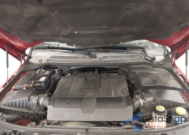 SALSF2D42BA263242: 44099743