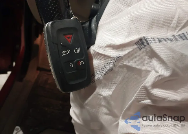 SALSF2D42BA263242: 44099743