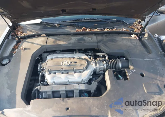 19UUA965X9A006046: 44099890