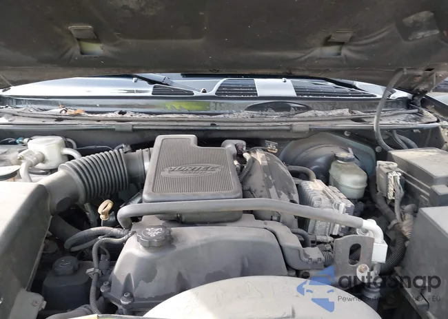 1GNET16S736134332: 44100031