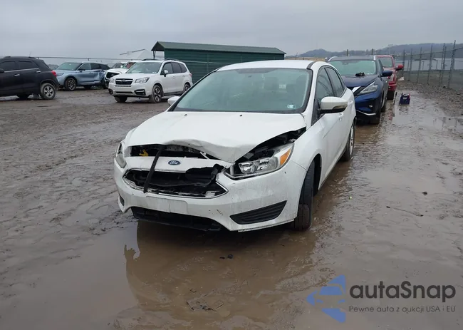 1FADP3F28GL274729: 44100646