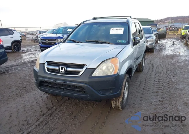 SHSRD78443U132091: 44101109