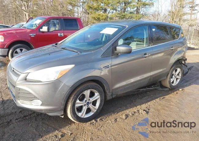 1FMCU0GX3EUD73095: 44100333