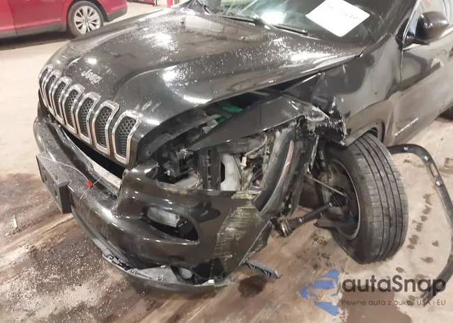 1C4PJMCB2GW309363: 44100439