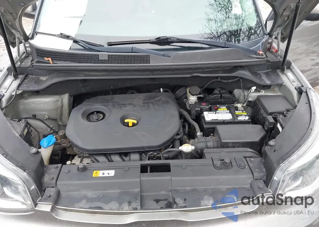 KNDJP3A59J7506771: 44101947