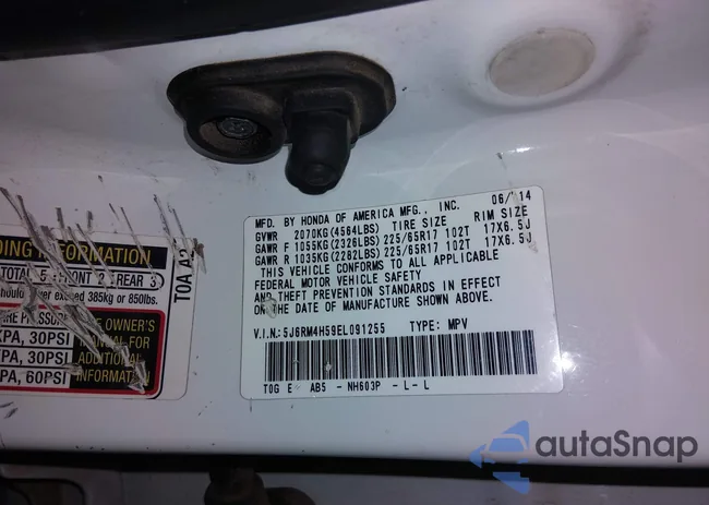 5J6RM4H59EL091255: 44102047