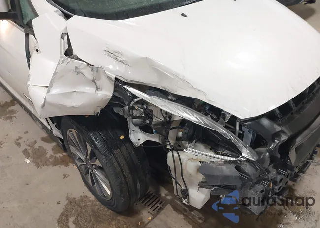 1FADP5DU8JL101901: 44102130