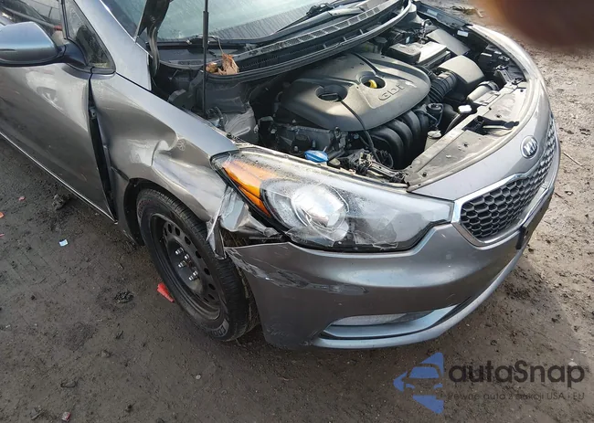 KNAFK5A89G5650624: 44101308