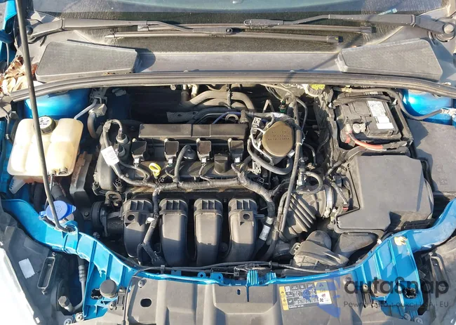 1FADP3K23FL223269: 44101331