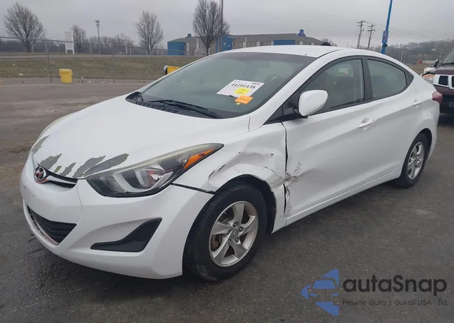 5NPDH4AE6FH577154: 44101438