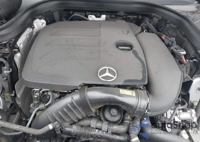 W1N0G8DB3LF794282: 44102704