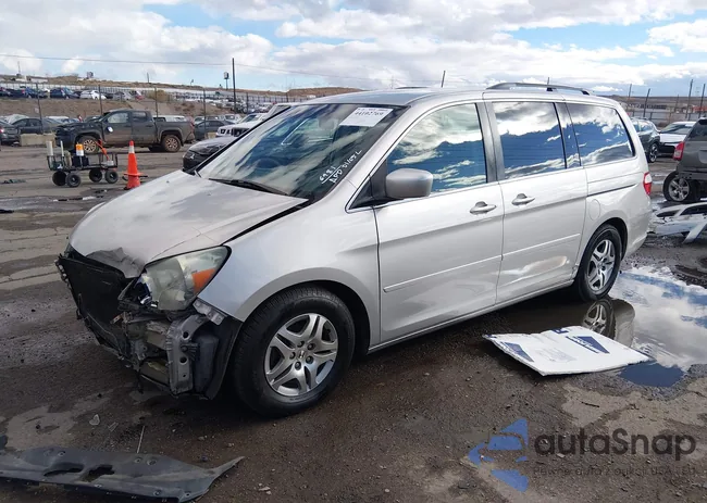 5FNRL38466B406981: 44102769