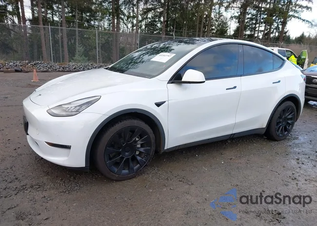 5YJYGDEF7LF004264: 44102797