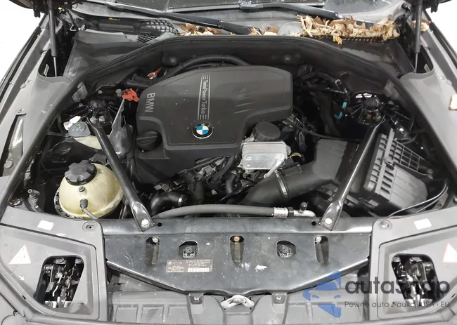 WBA5A7C50FD624754: 44102818