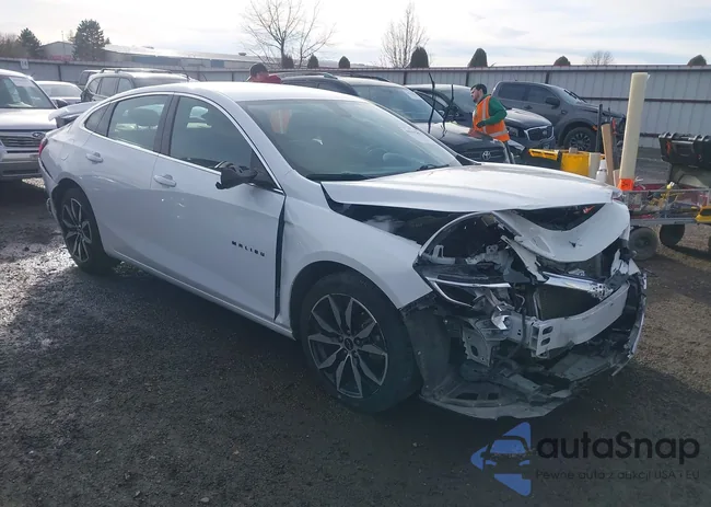 1G1ZG5ST6NF113231: 44102827