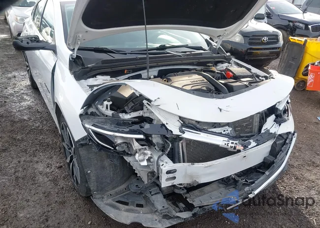 1G1ZG5ST6NF113231: 44102827