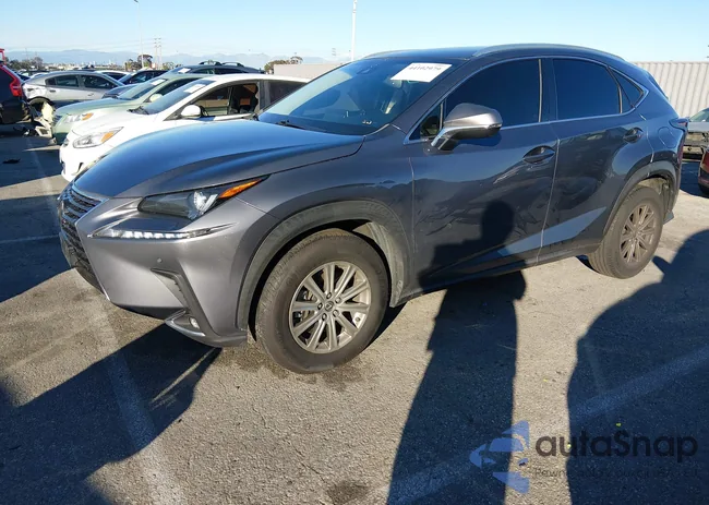 JTJYARBZ0K2152963: 44102979