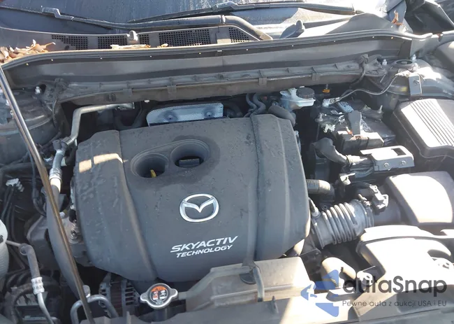 JM3KFACM5K0671069: 44103806