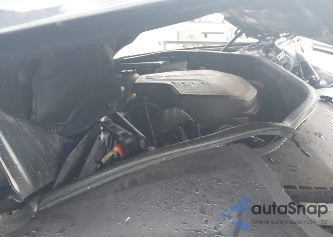 WBA5A7C53ED616632: 44103438