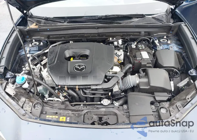 3MVDMBDM3PM518267: 44103449