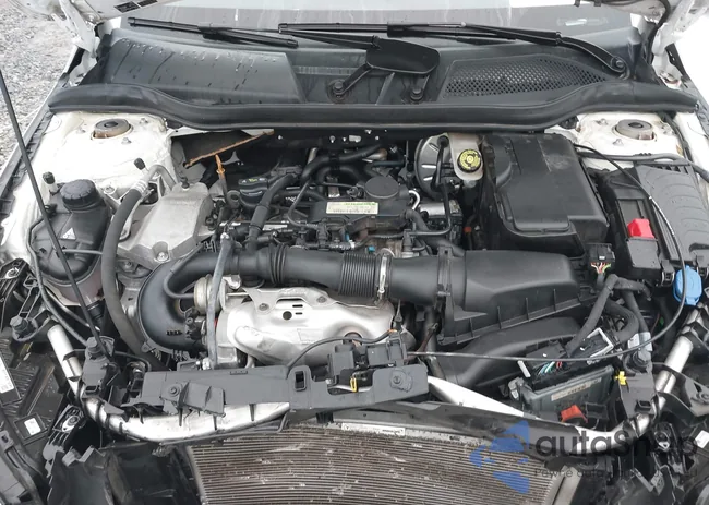 WDDSJ4EB9KN719718: 44104790