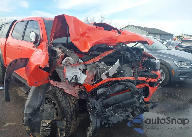 3TYCZ5AN7PT135997: 44104799