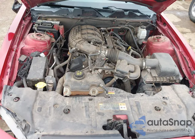 1ZVBP8AM4D5228738: 44104892