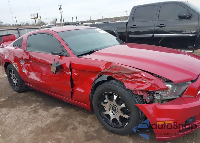 1ZVBP8AM4D5228738: 44104892