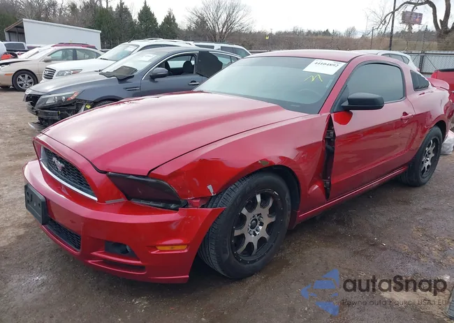 1ZVBP8AM4D5228738: 44104892