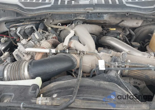 1FD7W2BT8NEC92762: 44104306