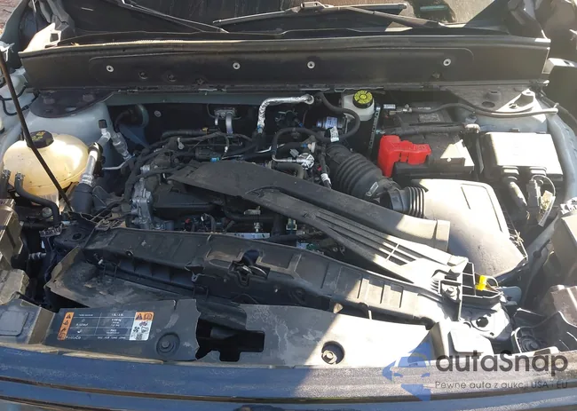 3FMCR9C6XPRD38096: 44105618