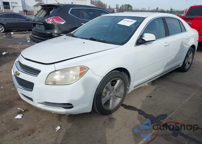 1G1ZC5EU8BF385808: 44106002