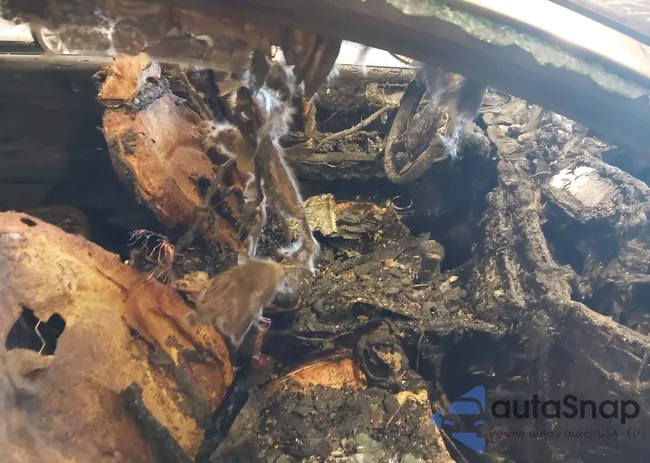 5XXGT4L30KG289594: 44105259