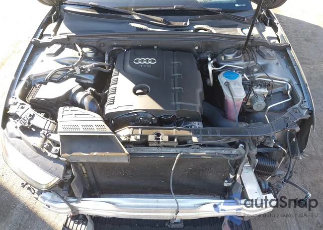 WAUFFAFL8FN025124: 44106559