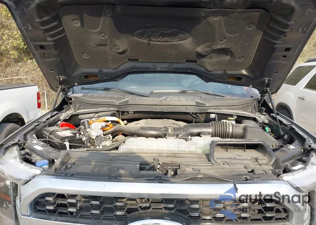 1FTFW1ED2PFB87324: 44106396