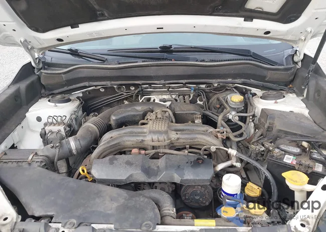 JF2SJAEC2EH441170: 44106452