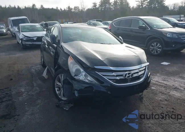 5NPEC4AC5BH244181: 44107280