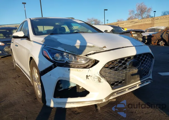 5NPE34AFXKH790999: 44107492