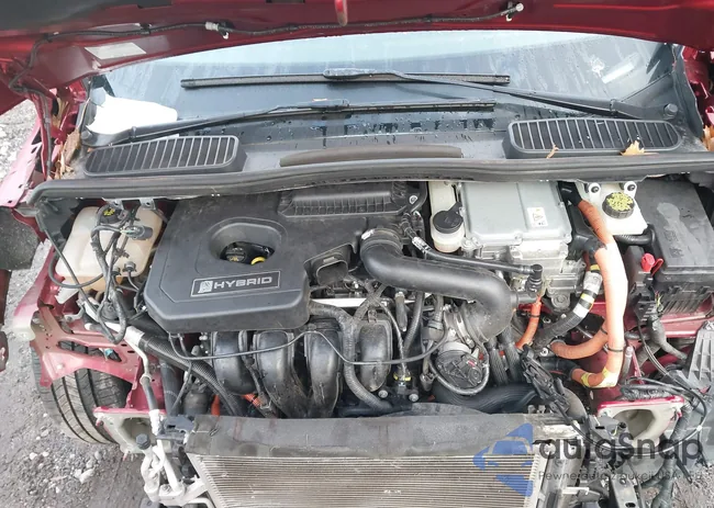 1FADP5BU3GL107228: 44108365