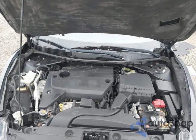 1N4AL3AP5GN373871: 44109509